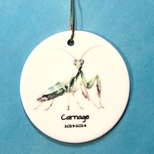 MaMaChiChiYo ha añadido una foto de su compra