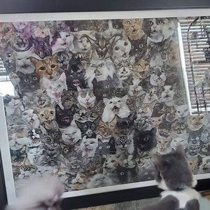 Hannah added a photo of their purchase