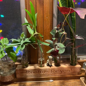 Wade ha añadido una foto de su compra