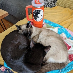 Nanette added a photo of their purchase