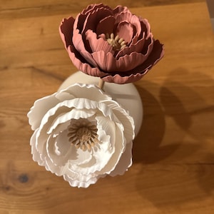 Maik added a photo of their purchase