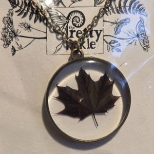 Sydney added a photo of their purchase