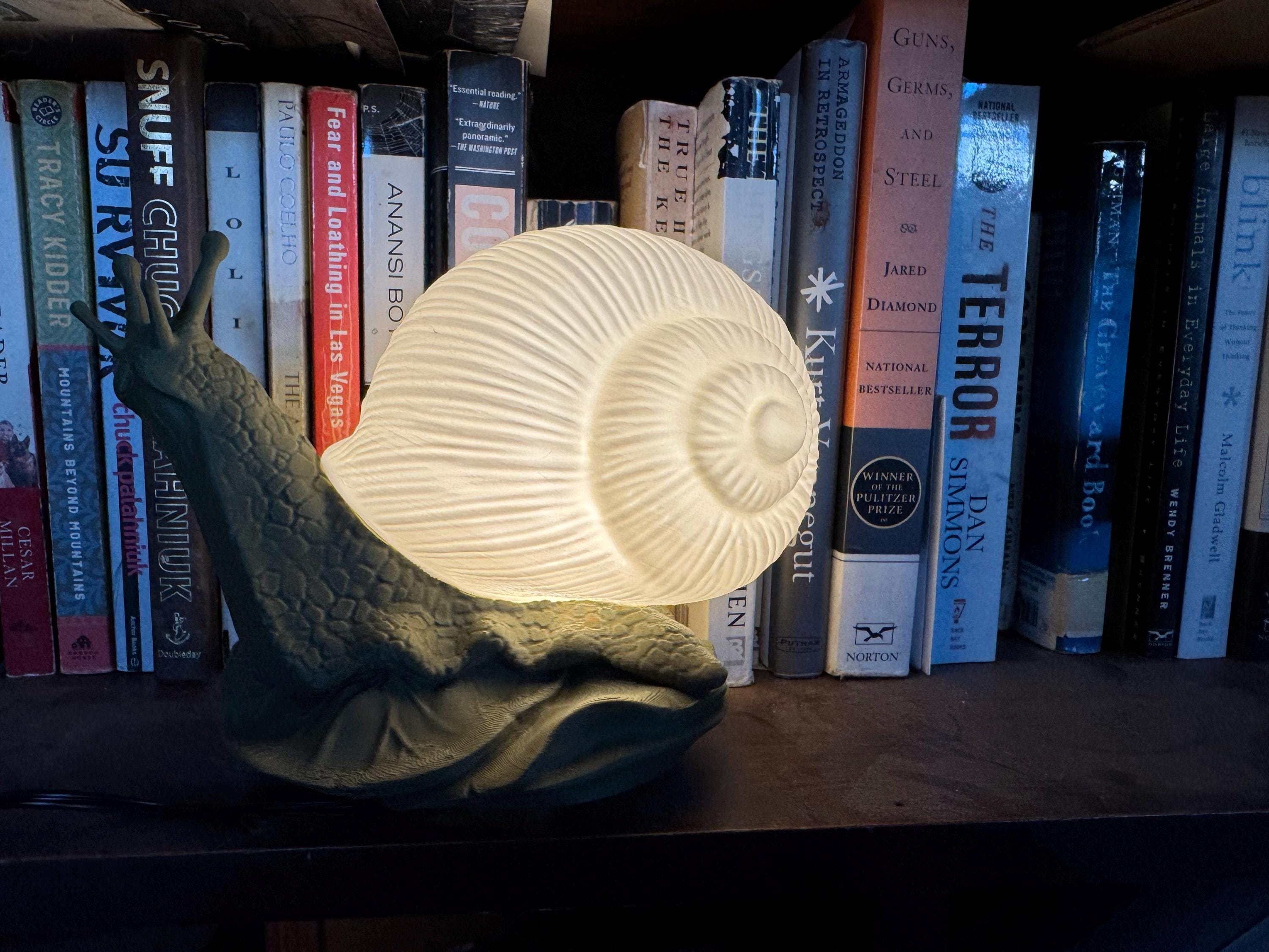 Bright Snail Lamp, 3d Snail Lamp, Desk Decoration, Office decoration, Custom Lamp, Snail Light, Cottagecore Lamp
