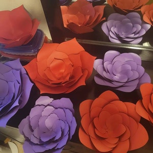Rocio added a photo of their purchase