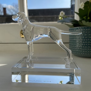 Robert added a photo of their purchase