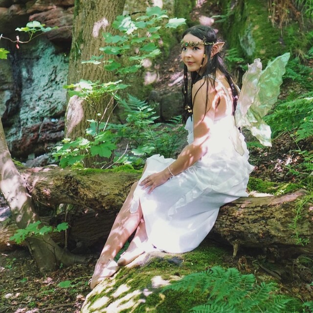 緑の葉の森の妖精の羽。リアルで虹色に輝きます。 - Etsy 日本
