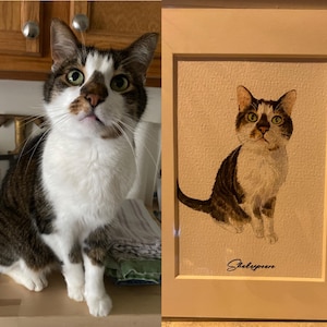 Sue heeft een foto van de aankoop toegevoegd