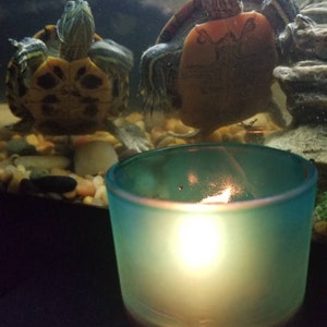 Joia added a photo of their purchase