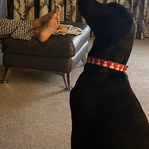 Helen added a photo of their purchase