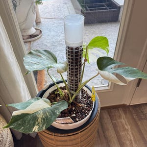 Ericson added a photo of their purchase
