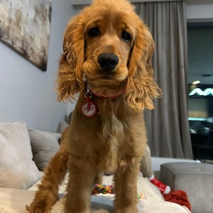 Sylwia added a photo of their purchase