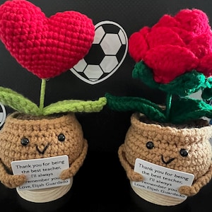 Cute 3PCS Plants,Thank You For Helping Me Grow,Crochet Sunflowers/Hearts/Rose Plants,Emotional Support Crochet,Thank You Gift,Teacher Gift