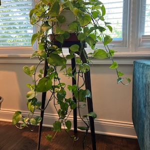 Krista added a photo of their purchase