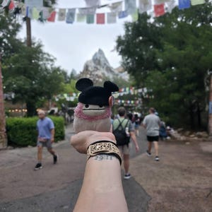 Diana added a photo of their purchase