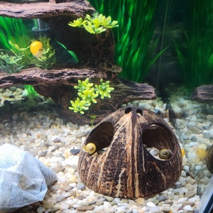 Connie added a photo of their purchase
