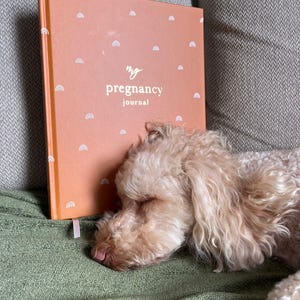 Ella added a photo of their purchase