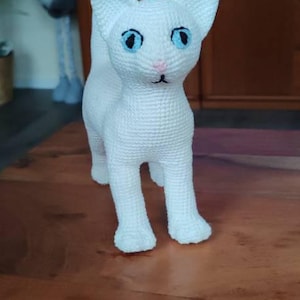 Lucy added a photo of their purchase