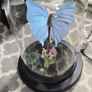 Candace added a photo of their purchase