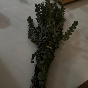 Allison added a photo of their purchase