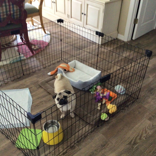 Puppy Playpen Set Up Play Pen How To Set Up A Kennel For A Puppy Large