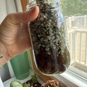 Anna added a photo of their purchase