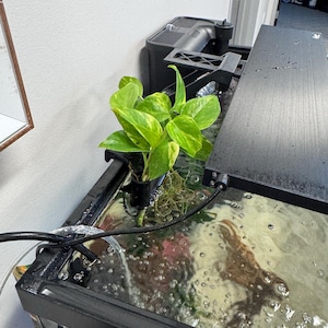 Tori added a photo of their purchase