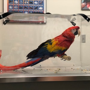 Janet ha añadido una foto de su compra