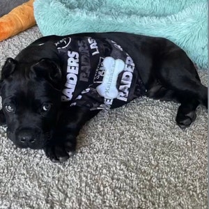 Madeline added a photo of their purchase