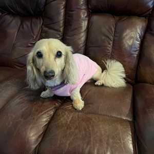 Sue added a photo of their purchase