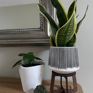 Carmen added a photo of their purchase