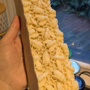 Emily added a photo of their purchase