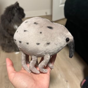 Kate added a photo of their purchase
