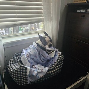 Chihuahua Print Pattern Blanket main image 0
