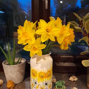 Linda added a photo of their purchase
