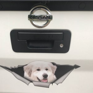 Vickie added a photo of their purchase