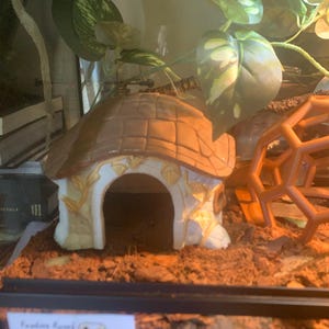 WillowC added a photo of their purchase