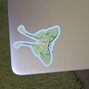 Cassandra added a photo of their purchase