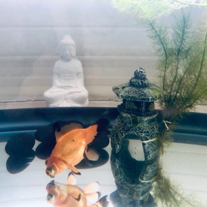 Jen added a photo of their purchase