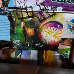 B added a photo of their purchase