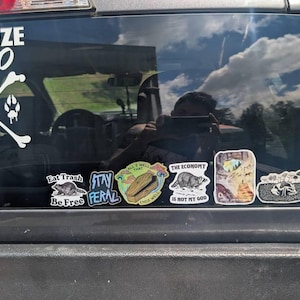 nobody hat ein Foto des gekauften Artikels hinzugefügt
