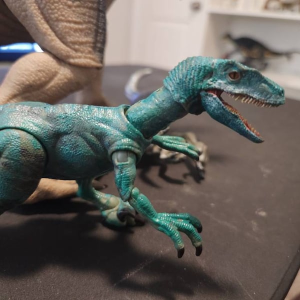 Hc Raptor HC Raptor Squad Charlie/delta Upgrade Kit by Marco Makes - Etsy