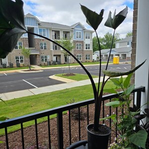 Rebecca ha añadido una foto de su compra