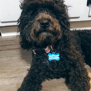 Carly added a photo of their purchase