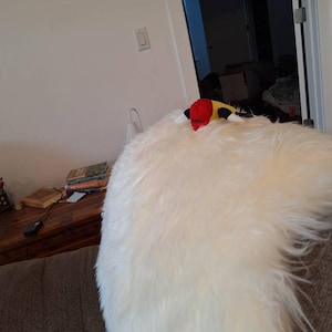 Tschelzi ha añadido una foto de su compra