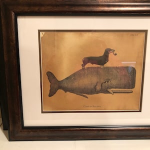 Cat Riding Moose Abyssinian Cat Riding Moose Vintage Collage | Etsy