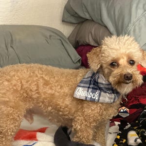 Ginger added a photo of their purchase