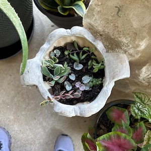 Marina added a photo of their purchase
