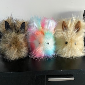Cassidy added a photo of their purchase