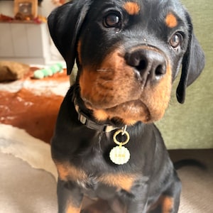Charlie added a photo of their purchase