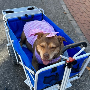 Sara ha añadido una foto de su compra